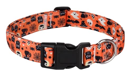 YLrank Halloween-Hundehalsband, Kürbis-Katze, Spinnenmuster, verstellbares Hundehalsband für kleine, mittelgroße und große Hunde, Jungen, Mädchen, männlich, weiblich, Haustierhalsband (Halloween, M) von YLrank