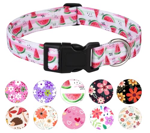 YLrank Hundehalsband, verstellbares Hundehalsband für kleine, mittelgroße und große Hunde, niedliches Welpenhalsband für Jungen und Mädchen, niedliches Design für Jungen, Mädchen, männlich, weiblich, von YLrank