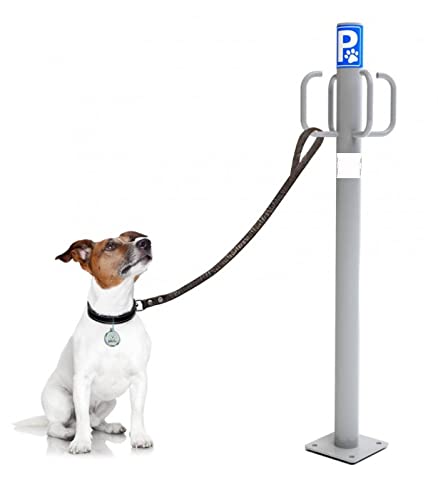 YMBERSA Nayade System Dog Parkplatz für den Außenbereich, mit 4 Haken, Graphitgrau von YMBERSA