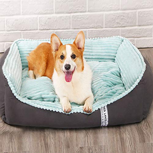 YMBKFan Flauschige Weich Warm Hundebett Super Soft Tierbett Schlafen Katzenbett,Anti-Angst Easy Clean Wasserdichter Boden Schlafsofa Für Hunde Haustierbett-Eine 120 * 90 * 26cm(47 * 35 * 10inch) von YMBKFan