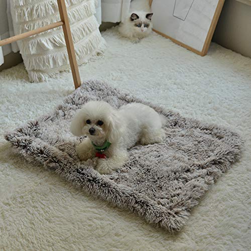 YMBKFan Winter Plus Samt Hundebett Essen Warm Stilvoll Pet Mat Tierbett Snooze Sleeping Hundebetten,Kalt-Beweis Katze Hundesofa Haustierprodukte-Currymatten 60 * 40cm(24 * 16inch) von YMBKFan