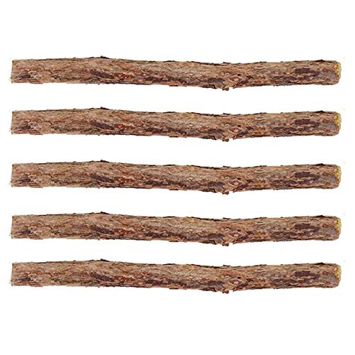 Katzenminze Silvervine Sticks Katzenleckerli Matatabi Stick KatzenzähnenReinigungsstab mit reiner natürlicher Katzenminze kleine Tiere Molar Zahnpasta Stick Haustier Katze Dental Treat Kauspielzeug von YMLOVE