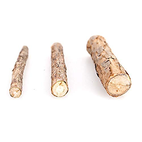 Katzenminze Silvervine Sticks Katzenleckerli Matatabi Stick KatzenzähnenReinigungsstab mit reiner natürlicher Katzenminze kleine Tiere Molar Zahnpasta Stick Haustier Katze Zahnpflege Kauspielzeug von YMLOVE