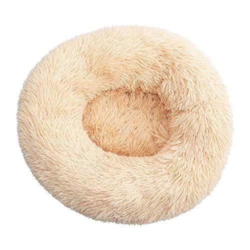 YMLOVE 1 x Haustierbett für Hunde und Katzen, rundes Nest, Prinzessinnen-Nest, warmes, weiches Plüsch, bequem für den Winter, Haustiermatte (60 cm, Aprikose) von YMLOVE