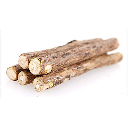 YMLOVE Katzenminze Silvervine Sticks Katzenleckerli Matatabi Stick KatzenzähnenReinigungsstab mit reiner natürlicher Katzenminze kleine Tiere Molar Zahnpasta Stick Molar Tools (Durchmesser 0,6–1,3 von YMLOVE