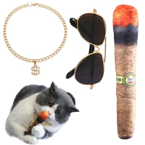 YNPQTDS Hip-Hop-Haustierkostüm, Hip-Hop-Katzenkostüm,Dollar Halskette Brille Hund - Katze, Hund, Sonnenbrille, Goldkette, Kostüm, Welpen-Retro-Foto-Requisiten für Haustiere von YNPQTDS