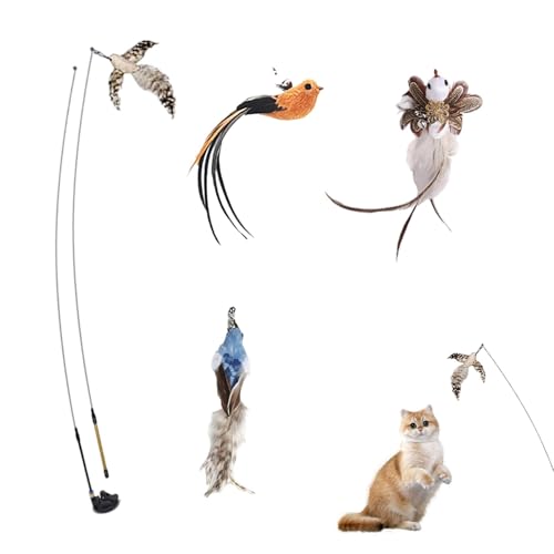 YNPQTDS Katzenfederspielzeug, Kitten Toy Stick, Einziehbares 7X -Türkatze Interactive Lure Toy, Mehrzweckkätzchen -Spielset -Haustierzubehör für gelangweilte Haustiere von YNPQTDS