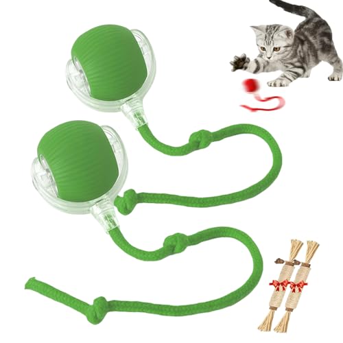 YODAOLI Rollie Pet Toy, Rollie Pet Cat Toy, Interactive Cat Toy Ball, Electric Dog Ball Toy, Heicos Interactive Dog Ball, 360° Smart Cat Toys Ball for Indoor Cats (2pcs*Green) von YODAOLI