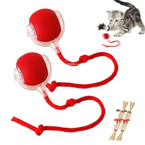 YODAOLI Rollie Pet Toy, Rollie Pet Cat Toy, Interactive Cat Toy Ball, Electric Dog Ball Toy, Heicos Interactive Dog Ball, 360° Smart Cat Toys Ball for Indoor Cats (2pcs*Red) von YODAOLI