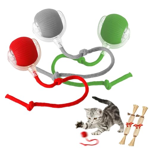 YODAOLI Rollie Pet Toy, Rollie Pet Cat Toy, Interactive Cat Toy Ball, Electric Dog Ball Toy, Heicos Interactive Dog Ball, 360° Smart Cat Toys Ball for Indoor Cats (3pcs) von YODAOLI