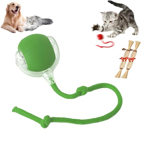 YODAOLI Rollie Pet Toy, Rollie Pet Cat Toy, Interactive Cat Toy Ball, Electric Dog Ball Toy, Heicos Interactive Dog Ball, 360° Smart Cat Toys Ball for Indoor Cats (Green) von YODAOLI