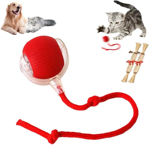 YODAOLI Rollie Pet Toy, Rollie Pet Cat Toy, Interactive Cat Toy Ball, Electric Dog Ball Toy, Heicos Interactive Dog Ball, 360° Smart Cat Toys Ball for Indoor Cats (Red) von YODAOLI