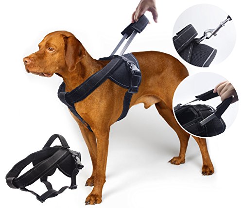 yogadog – Heavy Duty Hundegeschirr, gegen Ziehen, weich gepolstert mit spezieller Verlängerte integrierte kurze Leine Design, reflektierende Nähte, L:26''-34'', schwarz von YOOGAO Pet