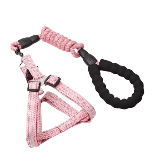 YOGOTEU Leinengürtel, Hundeleine, Schlupfgürtel, langes Haustier, starkes Training, Spazierengehen, Schwimmgürtel, weicher Griff, 1 x 120 cm, Rosa von YOGOTEU