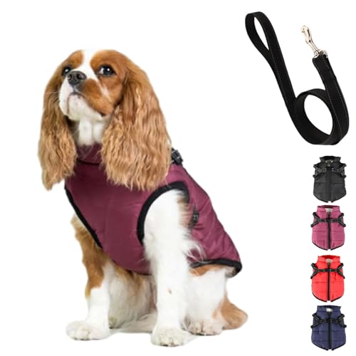 Furry King Dog Winter Coat, Furry Jacket for Dogs, Furry Dog Jacket with Harness, Pet Outdoor Jacket, Waterproof Windproof Dog Snow Jacket with Zipper, for Small Medium Large Dogs (2XL,Purple) von YOHFRFGX