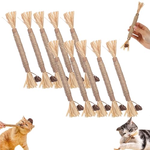 Nylatails Silvervine Dental Stick, Nyla Tails Cat Chew Stick, Nylatails Natural Silvervine Dental Sticks Cat Toys, Nylatails Silvervine Sticks Chew Toys for Teeth Cleaning (22cm/8.7in,10 pcs) von YOHFRFGX