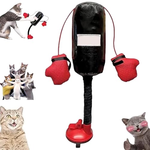 YOHFRFGX Cat Punching Bag Toy, Mini Boxing Punching Bag Cat Toy, Interactive Kitten Toys Punching Bag, Cat Boxing Gloves Toy, Cat Boxing Toy, Punching Bag Play Gym for Kittyweight Champions (1cps) von YOHFRFGX