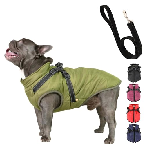 YOHFRFGX Furry King Dog Winter Coat, Furry Jacket for Dogs, Furry Dog Jacket with Harness, Pet Outdoor Jacket, Waterproof Windproof Dog Snow Jacket with Zipper, for Small Medium Large Dogs (M,Green) von YOHFRFGX