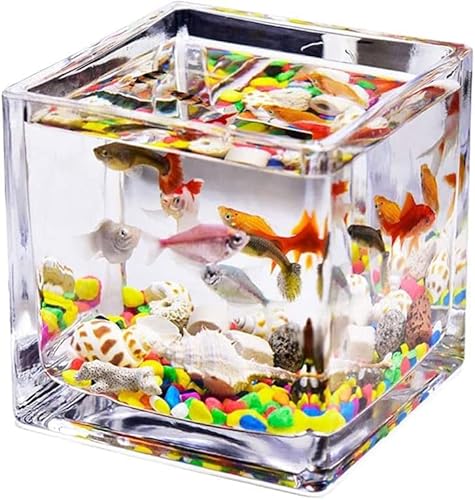 Aquarium Desktop Quadratisches transparentes Glas Mini Büro Haushalt Aquarium Wasser Gras Tank Betta Fisch Zierfische Kleines Aquarium Aquarium Tank, 4,72 Zoll von YONGHUHU