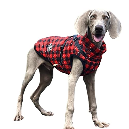 YONY Große Haustier Hundejacke mit Geschirr Winter Warme Hundekleidung-Gitter, 2XL von YONY