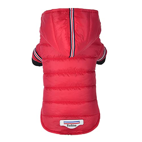 YONY Kleine Hundekleidung Winter Chihuahua Kleidung Haustierjacke und Mantel Wasserdicht für kleine mittlere Hund rot, XS von YONY