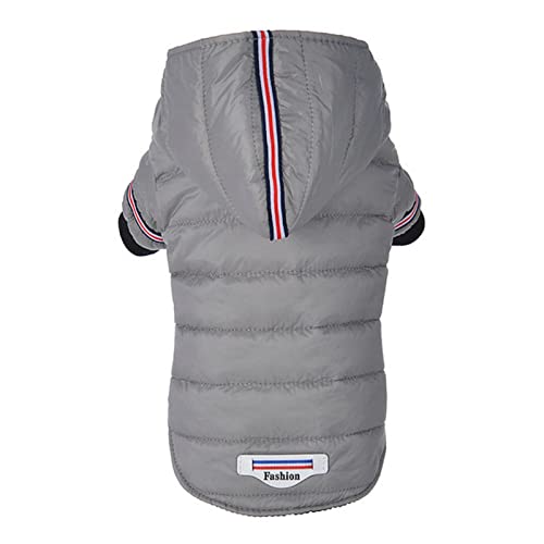 YONY Kleine Hundekleidung Winter Chihuahua Kleidung Haustierjacke und Mantel wasserdicht für kleine mittlere Hund grau, L von YONY