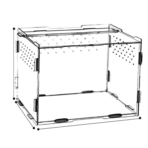 Insektenfutterbox Acryl Reptilien Zuchtbox Transparent Reptilien Terrarium Container für Spinne Eidechse Skorpion Käfer Grillen Mantis Geckos von YOPOTIKA