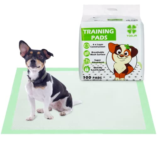 YORJA Welpen Unterlage Trainingspads fur Hunde Pipi, 60x60 cm-100 Stück Ultra Saugstarke 100% Auslaufsicheres Hygieneunterlagen mit Schnell Trocknender Oberfläche von YORJA