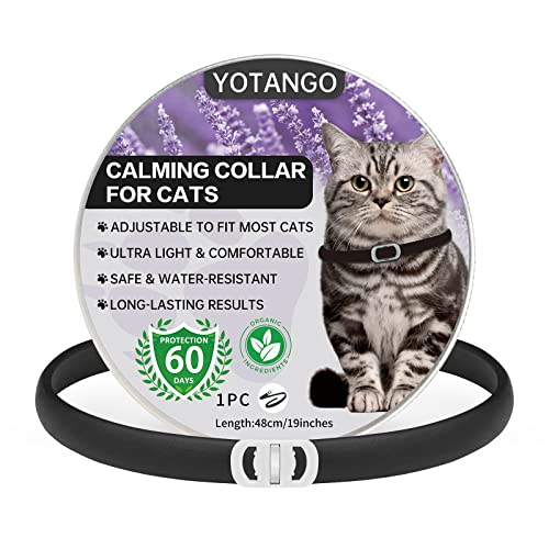 Beruhigendes Halsband für Katzen, Einstellbares Beruhigendes Halsband mit Pheromonen Katzen, Wasserdichtes Beruhigungshalsband für Katzen Anti Stress für 60 Tage für Kätzchen Große Katzen Schwarz von YOTANGO