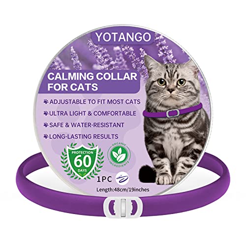 Beruhigendes Halsband für Katzen, Einstellbares Beruhigendes Halsband mit Pheromonen Katzen, Wasserdichtes Beruhigungshalsband für Katzen Anti Stress für 60 Tage für Kätzchen Große Katzen Lila von YOTANGO