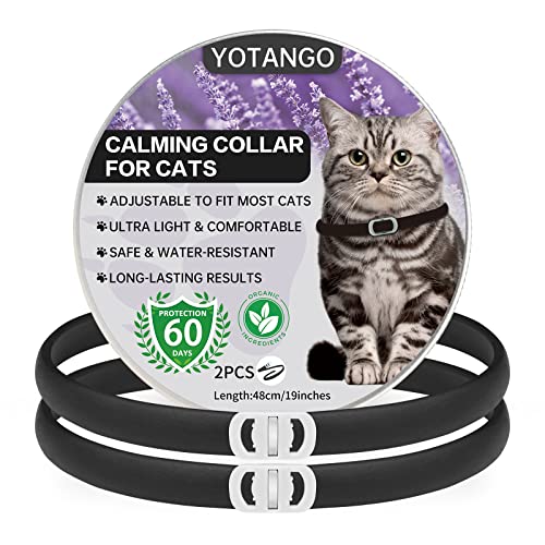 Beruhigendes Halsband für Katzen, Einstellbares Beruhigendes Halsband mit Pheromonen Katzen Wasserdichtes Beruhigungshalsband für Katzen Anti Stress für 60 Tage für Kätzchen Große Katzen Schwarz 2 Stk von YOTANGO