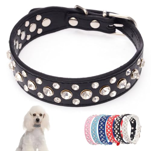 Ausgefallenes Hundehalsband für Hündinnen, glitzernd, Kunstleder, Strass, Kristall, Glitzer, hübsches Schmuckstück, Welpenhalsband für XXS, XS, S, M, Mädchen, Haustier, Hunde, Katzen, Breite 2,5 cm, von YOUALSO