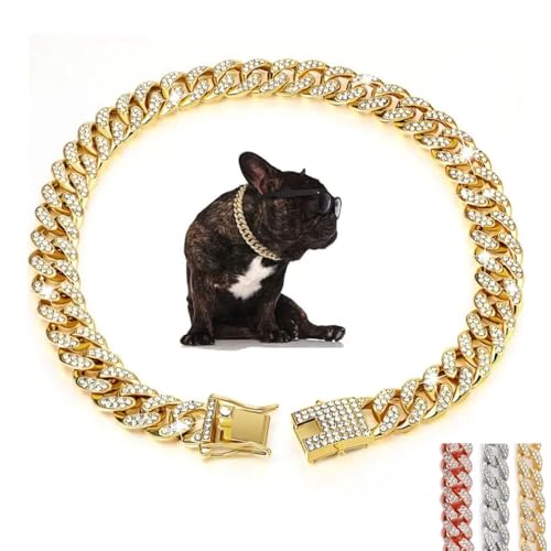 Goldfarbenes Halsband für Hunde, glitzernde Strasssteine, glitzernde Diamanten, Metall, kubanische Glieder-Hundehalskette für kleine, mittelgroße und große Haustiere, 35,6 cm von YOUALSO