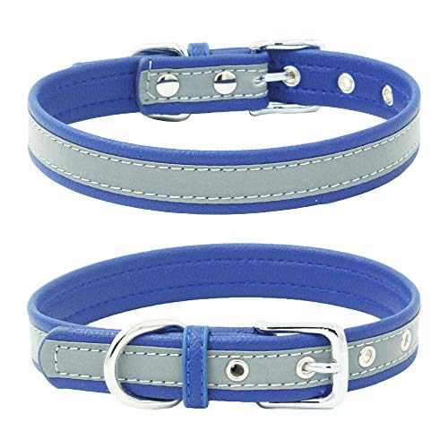 Hundehalsband, reflektierend, für kleine Hunde, Mädchen, Blau von YOUALSO