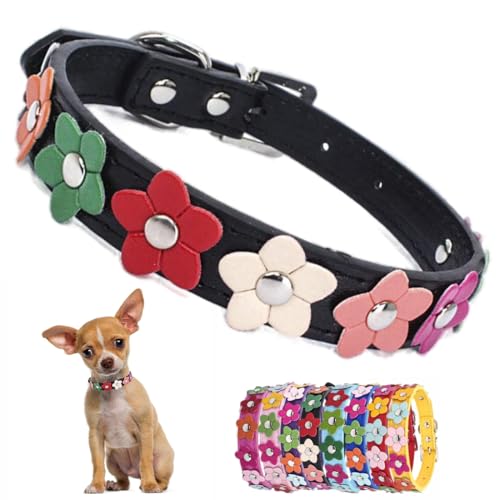 Hundehalsband mit bunten Blumen, für Mädchen und Katzen, Schwarz, Größe M von YOUALSO