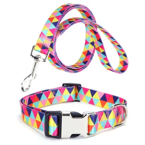 Hundehalsband und Leine, hübsches Design, bunt, geometrisches Dreieck, Haustierhalsbänder für kleine, mittelgroße und große Rassen, Hündinnen, Mädchen, Katzen, Größe M von YOUALSO