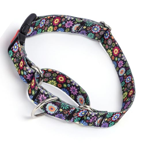 Martingale Hundehalsband für kleine Hunde, rutschfest, ausbruchsicher, begrenzte Würgeklemmung, Haustierhalsband, Schnellverschluss-Schnalle mit Schloss für kleine, mittelgroße und große Rassen, bunte von YOUALSO