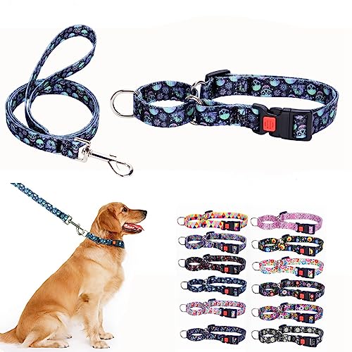 Martingale Halsband und Leine für Hunde, für große, mittelgroße und kleine Rassen, rutschfest, kein Entkommen, begrenzte Würgekneife, Halsband und Leinen, Schnellverschluss-Schnalle mit Schloss von YOUALSO