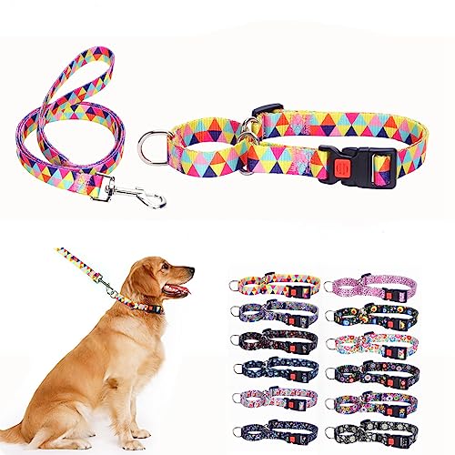 Martingale Halsband und Leine für Hunde, für große, mittelgroße und kleine Rassen, rutschfest, kein Entkommen, begrenzte Würgekneifung, große Welpen, Haustierhalsband und Leinen, von YOUALSO