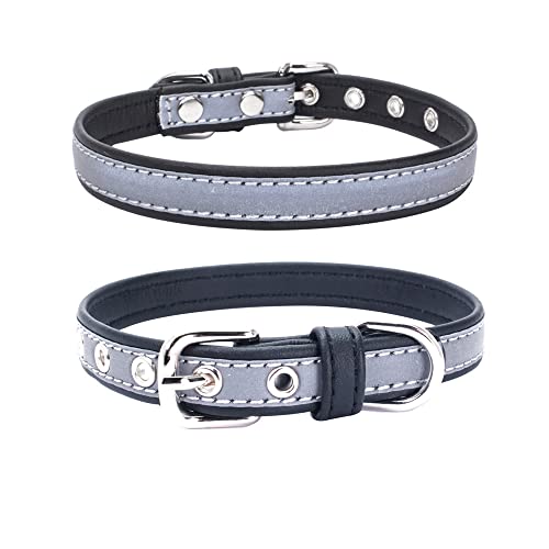 Reflektierendes Halsband für kleine Hunde, sicherer bei Nacht, für Mädchen, Katzen, Schwarz, Größe XL von YOUALSO