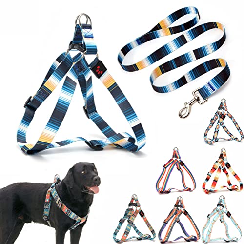 Set mit Hundegeschirr und Leine, hübsches Muster, kein Ziehen, Welpenweste, Outdoor, einfacher Spaziergang für kleine, mittelgroße und große Rassen, Mops, Wolfgang, Bully, Mastiff, Hunde, weiblich, von YOUALSO