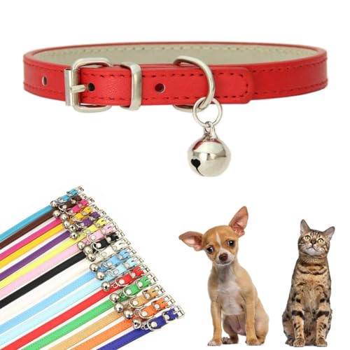 Welpenhalsband mit Glöckchen, Kunstleder-Katzenhalsband mit Glöckchen, für XXS, XS, kleine, mittelgroße Haustiere, Hunde, kleines Kätzchen, kleine Tiere, Jungen, Mädchen, Rot, Größe M von YOUALSO