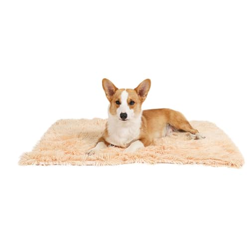 YOUCAI Waschbar Hundematte Hundekissen Fauschig Haustierbett Hundematratze Gefütterte Liegedecke für Hunde und Katzen, Katzenbett mit Rutschfester Unterseite,Braun1,L:100x75cm von YOUCAI