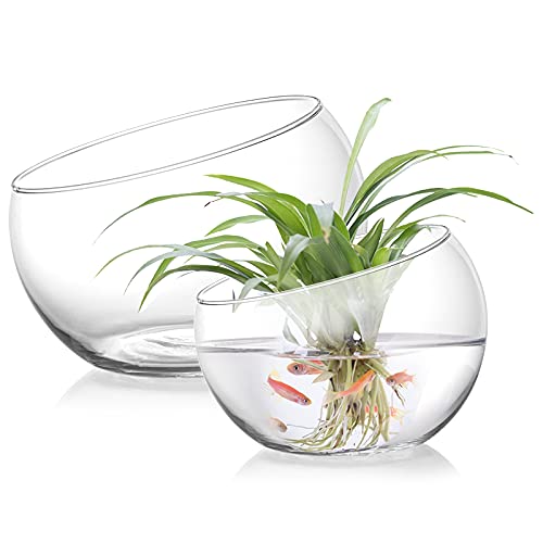 YOUEON Glasvase, schräg geschnitten, 16.5 cm Dx14 cm H, 13.2 cm Dx12.2 cm H, durchsichtiges Terrarium, Süßigkeitenteller, Kleiner runder Übertopf, Tischaufsatz für Hochzeiten, Fischbehälter, 2 Stück von YOUEON