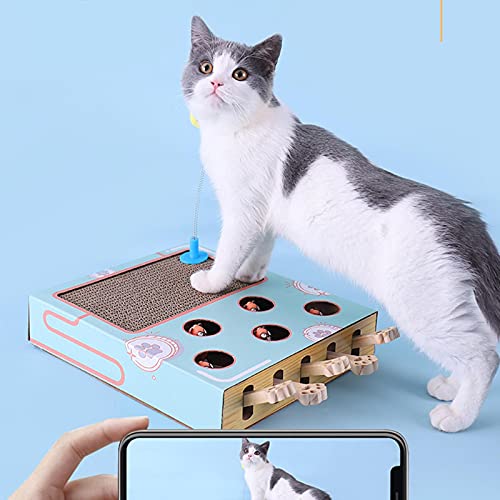 Katzenkratzer mit rutschfesten Katzenminze-Aufklebern - Multifunktionales Katzenspielzeug Kitty Interaktives Spielzeug Heimtierbedarf für Schaber, Katzenspielzeug und Lounge (10.23 Zoll × 14.17 Zoll) von YOUGE