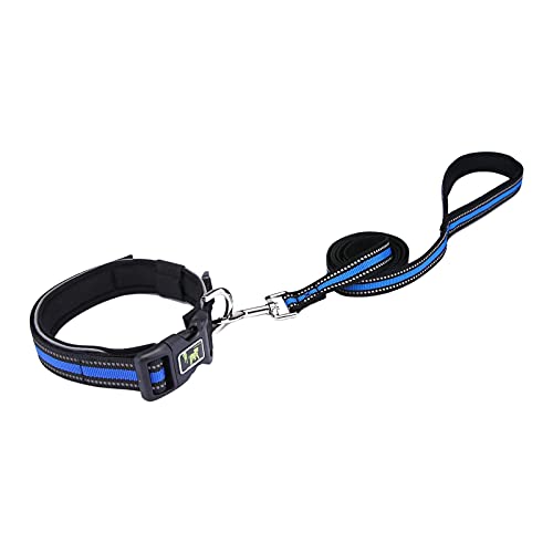 Reflektierendes Hundehalsband, klassische verstellbare Hundehalsbänder aus Nylon, personalisierte Hundehalsbänder für kleine mittelgroße Hunde von YOUGE