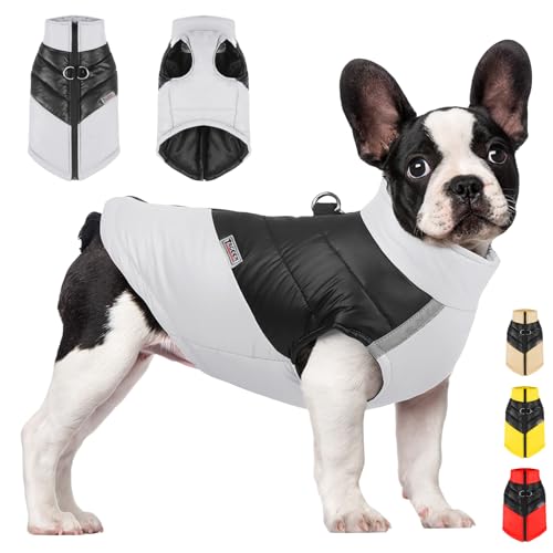 YOUYIKE Hundemantel für Hunde, Hundekleidung, Hundemantel Wasserdicht Hundejacke Winter Warme Jacke für Kleine Mittelgroße Hunde Hundebekleidung Warm Haustier Kleidung für Kaltes Wetter (Grau, XL) von YOUYIKE