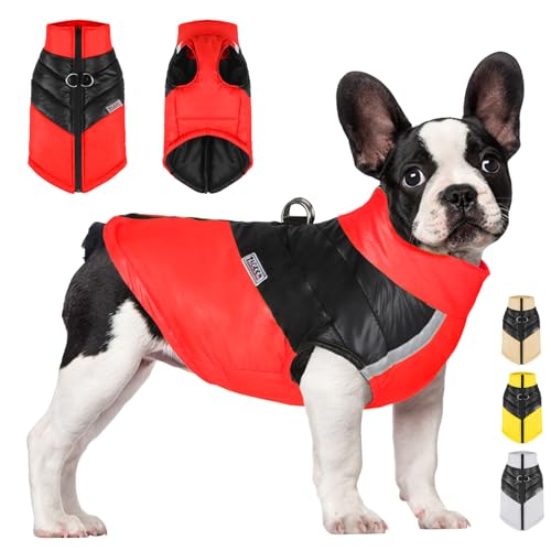 YOUYIKE Hundemantel für Hunde, Hundekleidung, Hundemantel Wasserdicht Hundejacke Winter Warme Jacke für Kleine Mittelgroße Hunde Hundebekleidung Warm Haustier Kleidung für Kaltes Wetter (Rot, L) von YOUYIKE