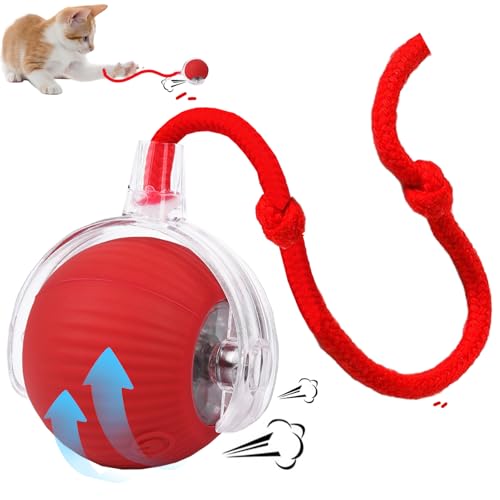 YOUYIKE Rolling Ball, Interactive Cat Toys Rolling Ball, Katze Ball mit Schnur, Interaktives Cat Ball Spielzeug mit USB Aufladbar, Automatisch Rollender Ball für Kleine, Mittlere Katze von YOUYIKE