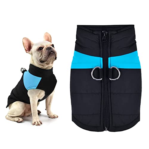 YOUYIKE Welpen Jacken Warm, Fluoreszentes Blau M Hundemantel Hundejacke Wasserdicht, Warme Haustier Jacke, Haustier Kleidung Winterjacke Hunde Mantel Herbst Winter für Kleine Mittlere Große Hunde von YOUYIKE